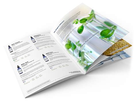 CATALOG SUPPLEMENT .